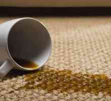 Čišćenje tepiha kod kuće: sredstva i metode, recenzije