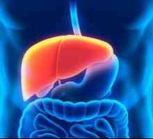 Čišćenje jetre `Allochol` (14 dana): shema prijema, recenzije