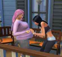 Trikovi na "The Sims 4" za blizance blizanaca, trojke, za brze trudnoće