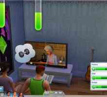 Cheat kodovi za `The Sims 4` za potrebe: kako se prijaviti