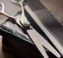 `Chop-Chop` (Moskva): recenzije o frizerskom i treninzima, adresi, fotografiji