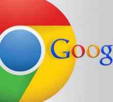 Chrome Flags Omogući Npapi: opis, postavke i recenzije