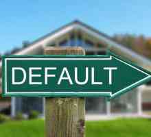 Что будет с кредитами в случае дефолта? Последствия дефолта