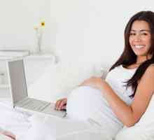Što kaže Zakon o radu: jednostavan posao za trudnoću, uvjete, plaćanje, značajke prijenosa