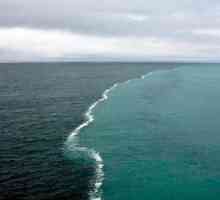 Ono što se zove vodena masa. Vodene mase oceana