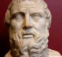 Što je Herodotus otkrio u geografiji? Doprinos znanstvenika u znanosti