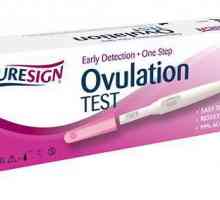 Što znači blijedi pojam na ovulacijskom testu? Kako koristiti test za ovulaciju?