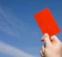 Što znači crveni karton u nogometu? Crvena karta u nogometu: statistika i pravila
