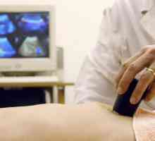 Što pokazuje i kako ultrazvuk trbuha?