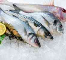 Što kuhati s smrznutim ribama? Omiljeni recepti