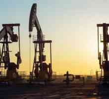 Što se proizvodi od ulja? Tehnologija rafiniranja nafte