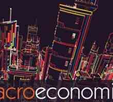 Što je makro i mikroekonomija?