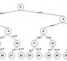 Što je algoritam s granama? Primjeri i definicija algoritama grananja