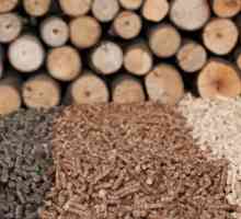 Što je biomasa? Koja je njegova svrha?