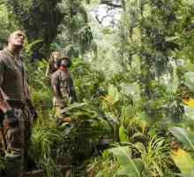 Što je džungla? Novi film`Jumanji: Poziv džungle `