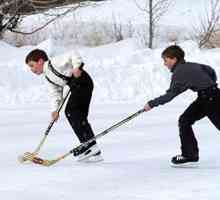 Što je hokej i koja su pravila igre. Što je hokej na ledu i kako se razlikuje od hokeja na travi