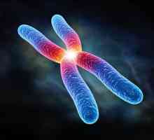 Što je kromosom? Skup kromosoma. Par kromosoma