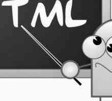Što je vrsta unosa HTML-a?