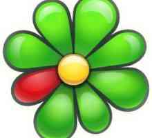 Što je ICQ? Kako instalirati ICQ za Windows ili Android