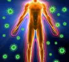 Što je imunitet? Stanični i humoralni imunitet