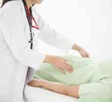 Što je endometrioza? Uzroci, simptomi, dijagnoza i liječenje