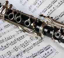 Što je klarinet? Vrste klarineta