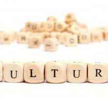 Što je kulturologija? Odnos kulturologije s drugim znanostima