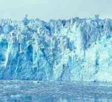 Što je ledenjak? Pulsirajući glečeri. Gdje su i kako se formiraju glečeri?
