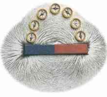 Što je magnetsko polje i zašto je u čovjeku?