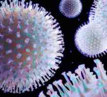 Što je morfologija mikroorganizama?