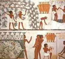 Što je porez u Drevnom Egiptu? Povijest poreza