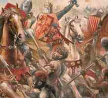 Što je Reconquista? Reconquista: uzroci i posljedice