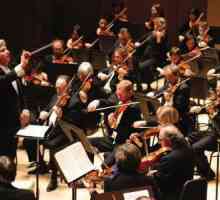 Što je simfonijski paket? "Scheherazade" i njezine priče u djelu Rimsky-Korsakov
