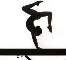 Što je gimnastika? Opis i pravila