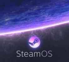 Što je Steam? Instalacija i uporaba
