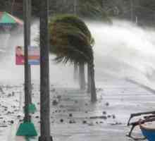 Что такое тайфун? Как образуется тайфун?