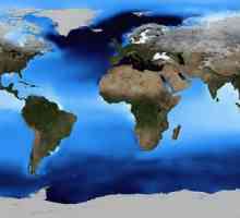 Что такое термохалинная циркуляция Мирового океана?