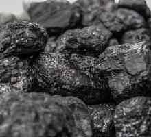 Što je ugljen, kako i zašto je minirano? Vodeće zemlje u rudarstvu