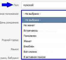 Što je "VKontakte" SP i kako ga instalirati