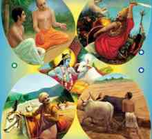 Što je varna? Četiri glavna imanja drevnog indijskog društva: brahmane, ksatriyas, vaisyas, sudras