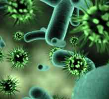 Što su virusi? Biologija: vrste i klasifikacija virusa