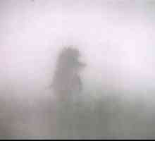 Что видит Ежик в тумане? Философствования на тему мультика