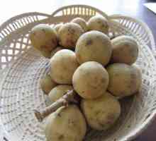 Kakav je plod longan, gdje se uzgaja, kako se jede i koliko je korisno
