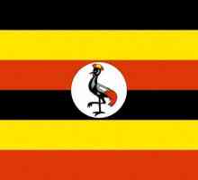 Kakva vrsta ptica je prikazana na zastavi Ugande? Povijest i opis zastave zemlje
