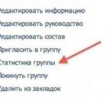 Što znači "jedinstveni posjetitelji" na "VKontakte"? Kako vidjeti jedinstvene…