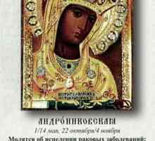 Čudotvorna ikona Andronika Majke Božje