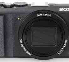 Sony Cyber-shot digitalni fotoaparat DSC-HX60: opis, tehničke specifikacije i recenzije