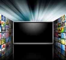 Digital TV `Beeline`: popis, recenzije i povezivost