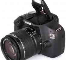 Digitalni fotoaparat Canon 1200D: recenzije stručnjaka i zaključaka