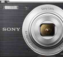 Digitalni fotoaparat Sony Cyber-shot DSC-W810: opis, načini snimanja, recenzije